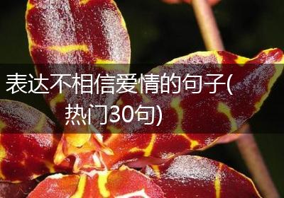 表达不相信爱情的句子(热门30句)