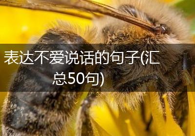 表达不爱说话的句子(汇总50句)