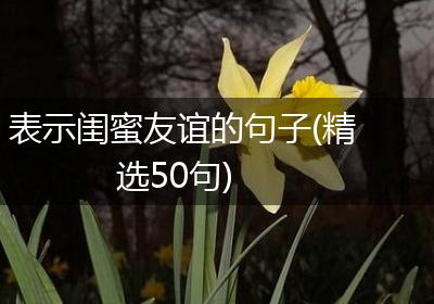 表示闺蜜友谊的句子(精选50句)