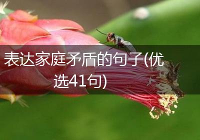 表达家庭矛盾的句子(优选41句)