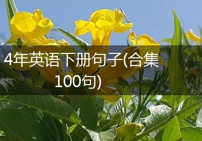 4年英语下册句子(合集100句)