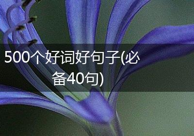 500个好词好句子(必备40句)
