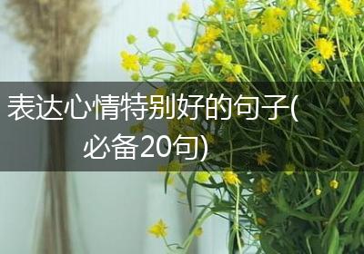 表达心情特别好的句子(必备20句)