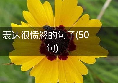表达很愤怒的句子(50句)