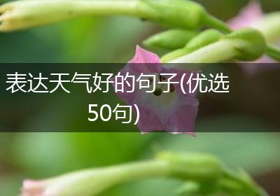 表达天气好的句子(优选50句)