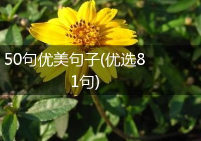 50句优美句子(优选81句)