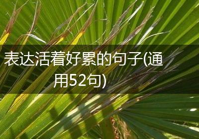 表达活着好累的句子(通用52句)