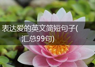 表达爱的英文简短句子(汇总99句)