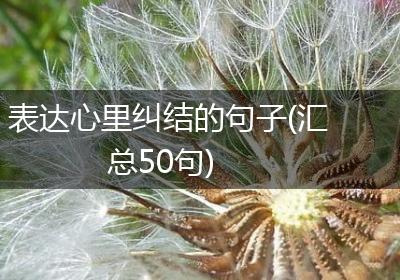 表达心里纠结的句子(汇总50句)