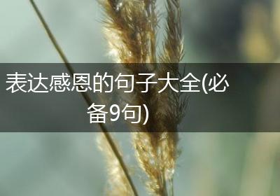 表达感恩的句子大全(必备9句)