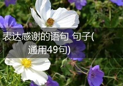 表达感谢的语句 句子(通用49句)