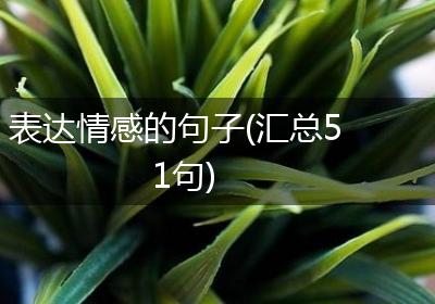 表达情感的句子(汇总51句)