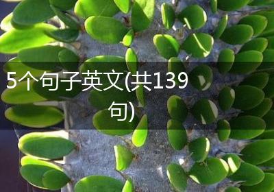 5个句子英文(共139句)