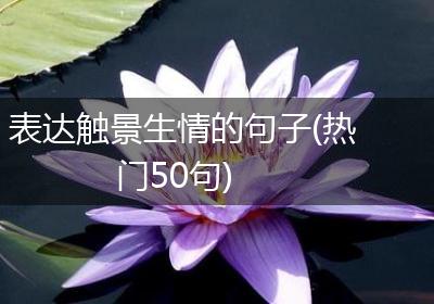 表达触景生情的句子(热门50句)