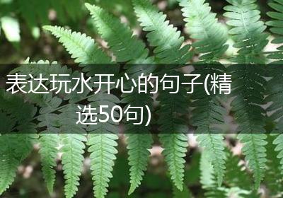 表达玩水开心的句子(精选50句)