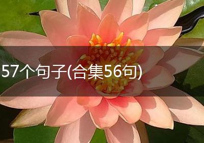 57个句子(合集56句)