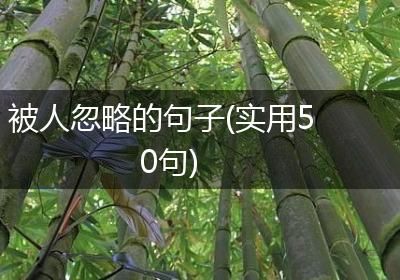 被人忽略的句子(实用50句)