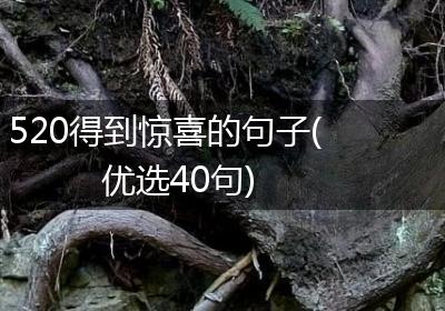 520得到惊喜的句子(优选40句)