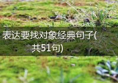 表达要找对象经典句子(共51句)
