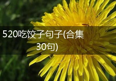 520吃饺子句子(合集30句)