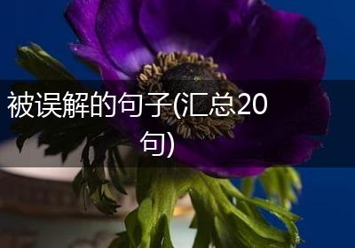 被误解的句子(汇总20句)