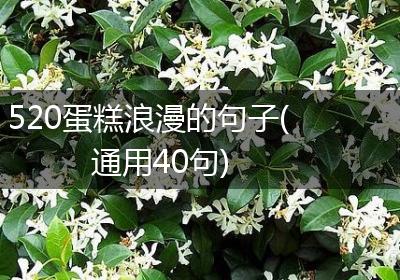 520蛋糕浪漫的句子(通用40句)