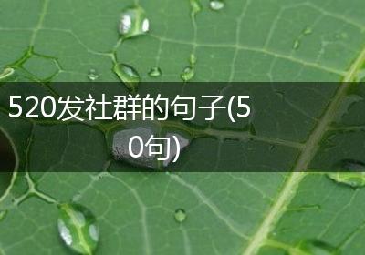 520发社群的句子(50句)
