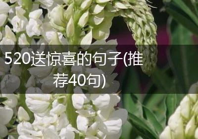 520送惊喜的句子(推荐40句)
