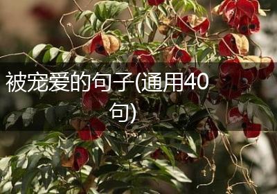 被宠爱的句子(通用40句)