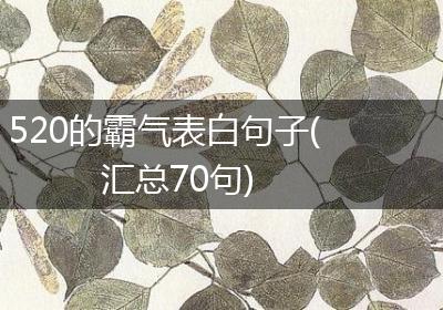 520的霸气表白句子(汇总70句)