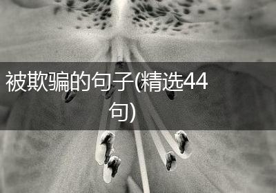 被欺骗的句子(精选44句)