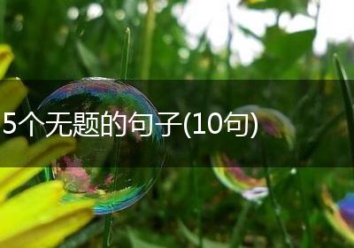 5个无题的句子(10句)