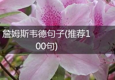 詹姆斯韦德句子(推荐100句)