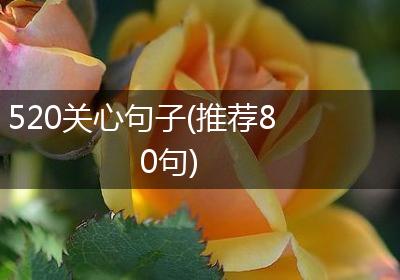 520关心句子(推荐80句)
