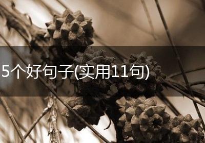 5个好句子(实用11句)