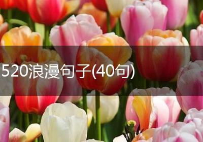 520浪漫句子(40句)