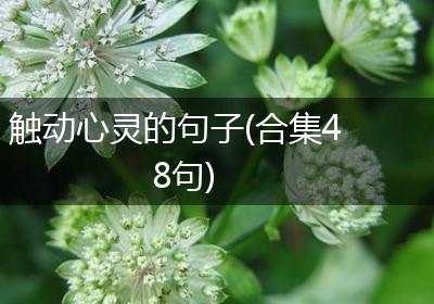 触动心灵的句子(合集48句)