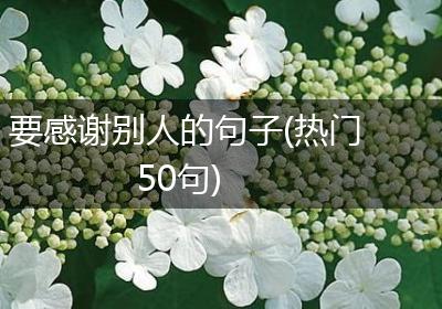 要感谢别人的句子(热门50句)