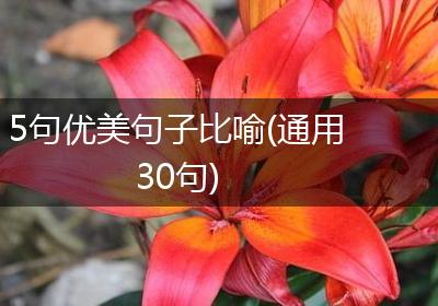 5句优美句子比喻(通用30句)
