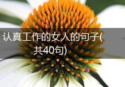 认真工作的女人的句子(共40句)