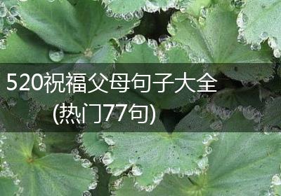 520祝福父母句子大全(热门77句)