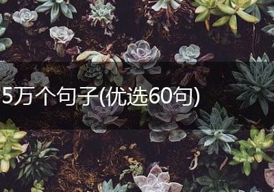 5万个句子(优选60句)