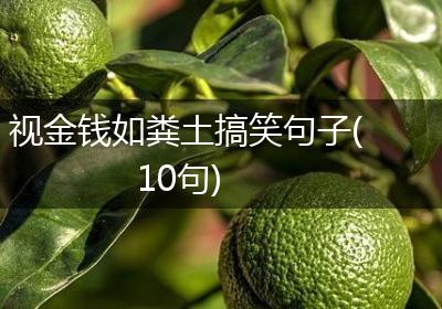 视金钱如粪土搞笑句子(10句)