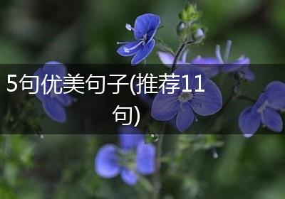 5句优美句子(推荐11句)