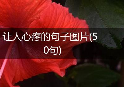 让人心疼的句子图片(50句)