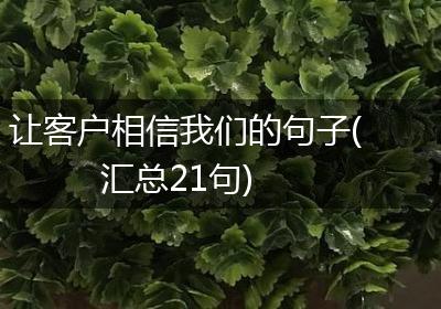 让客户相信我们的句子(汇总21句)