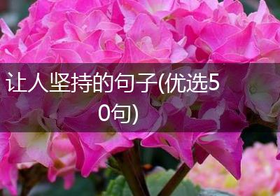 让人坚持的句子(优选50句)