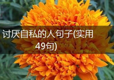 讨厌自私的人句子(实用49句)