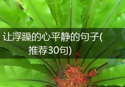 让浮躁的心平静的句子(推荐30句)