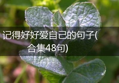 记得好好爱自己的句子(合集48句)